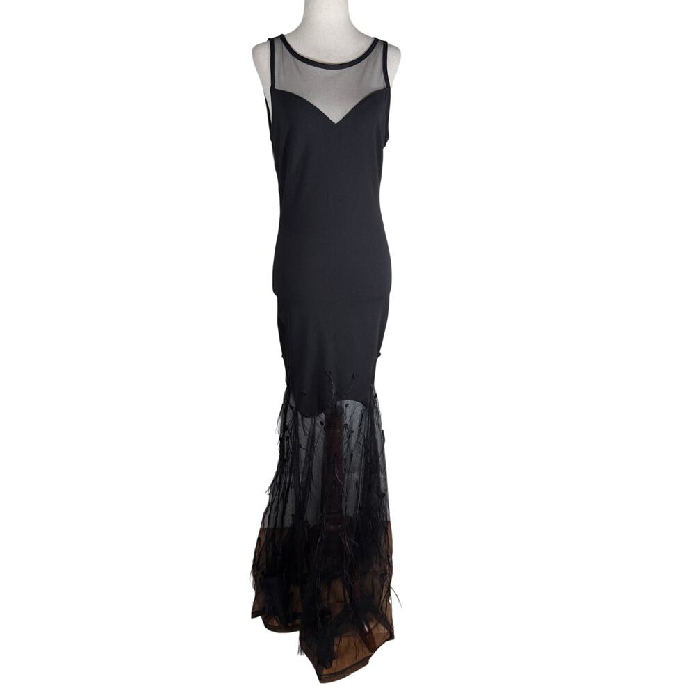 Symphony Mesh Maxi Dress with Feathers Size M